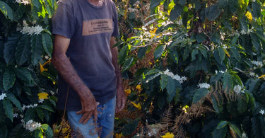 Edio Miranda - Single Origin Coffee