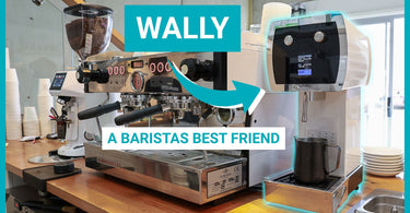 How to Get Perfect Milk Consistency Every Time (La Marzocco Wally)