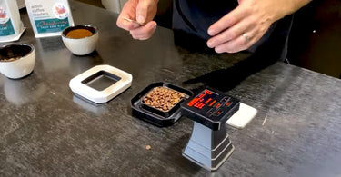 How to Analyze Light to Dark Roasted Coffee Beans