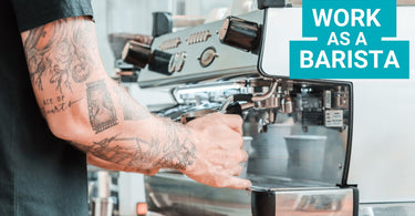Landing Your First Barista Job: A No-Experience Guide