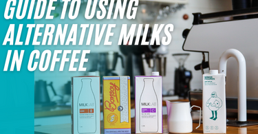 Guide to Using Alternative Milks in Coffee - How to steam and froth for latte