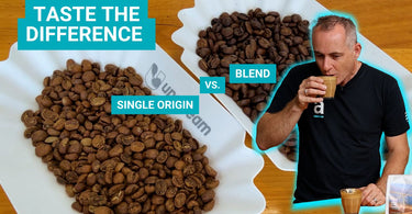 Single Origin vs. Blend: The Ultimate Guide for Milk Coffee Lovers