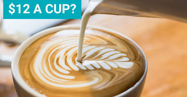Will Your Coffee Cost $12 in 2025? Decoding the Coffee Price Crisis