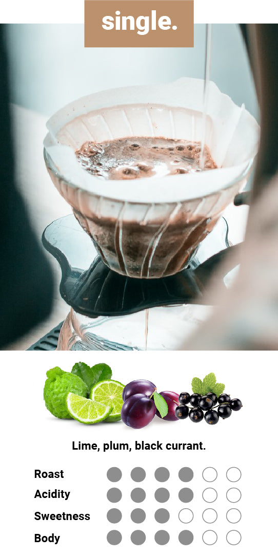 Coffee Beans – Artisti Coffee Roasters Coffee Beans – Artisti Coffee Roasters