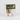 Coffee Drip Bags - Cuatro Vientos Single Origin - (10 x 13.5g pack)