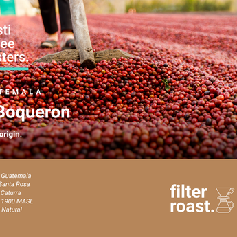 El Boqueron - Guatemala Single Origin Filter Roast