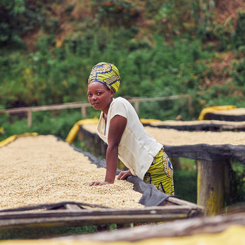 Thirikwa - Kenya Single Origin Filter Roast